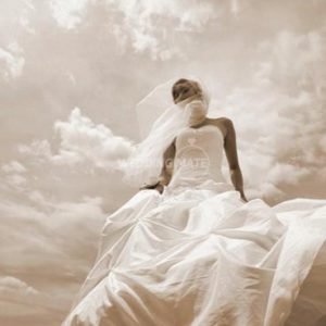 All About Love Wedding Photography - AAL