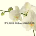 D'Orchid Bridal Collection