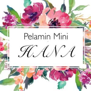 Pelamin Mini Hana Puncak Alam