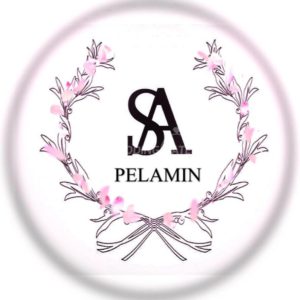 SA Pelamin - Kuching - Badget pelamin