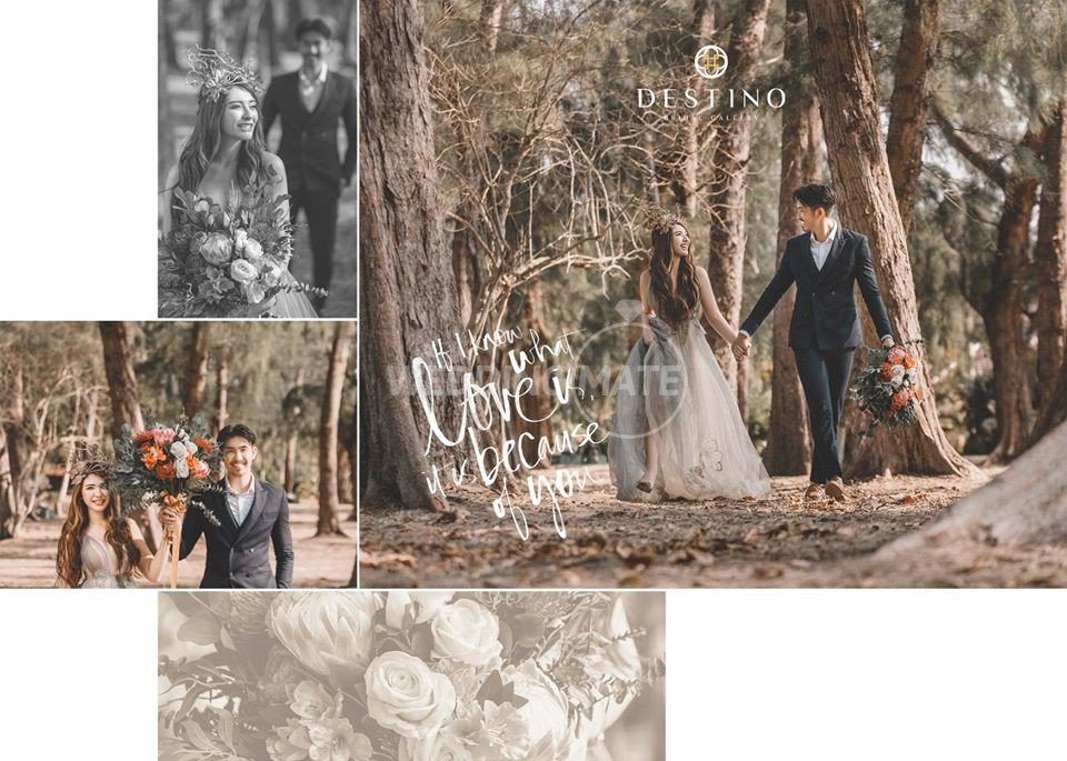 Destino Bridal Gallery
