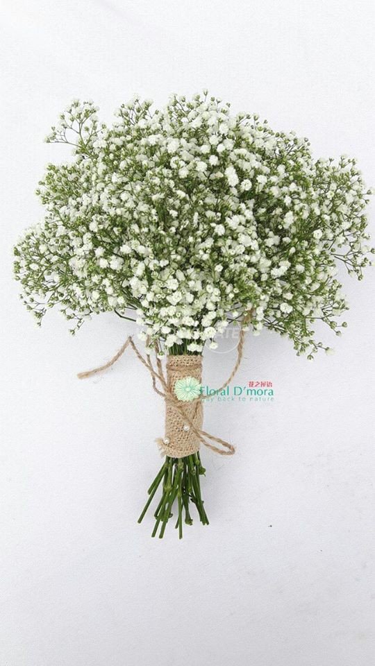 Floral D’mora 花之屋语