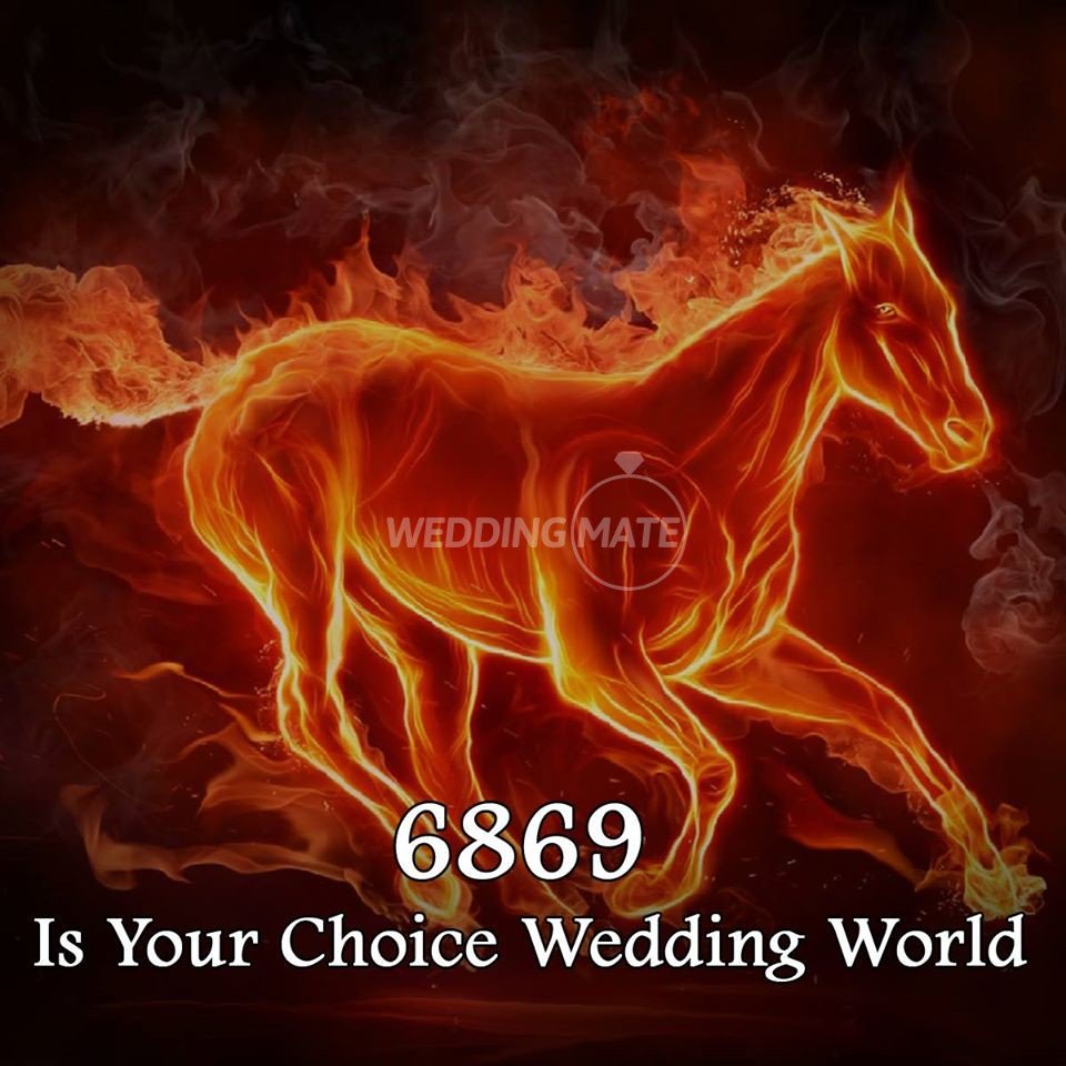 6869 wedding world is your choice