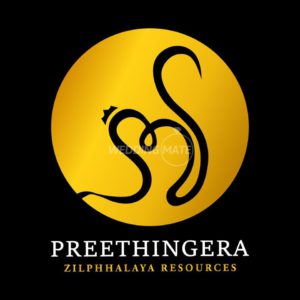 Preethinga Beauty Studio