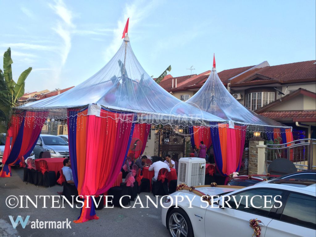 Intensive Canopy Services